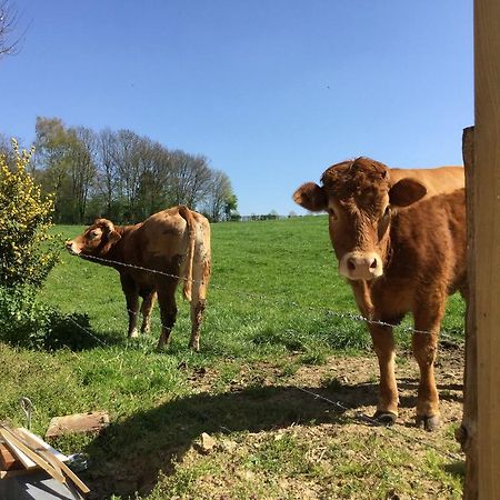 Vakantiewoning Kleijnen 诺尔贝克 外观 照片