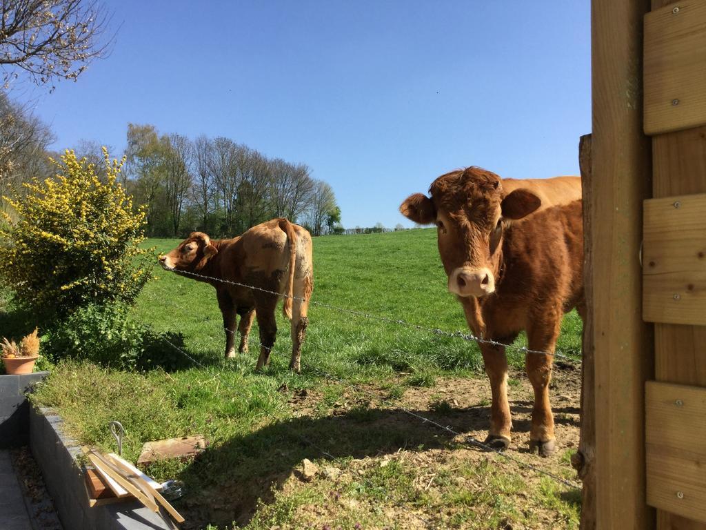 Vakantiewoning Kleijnen 诺尔贝克 外观 照片